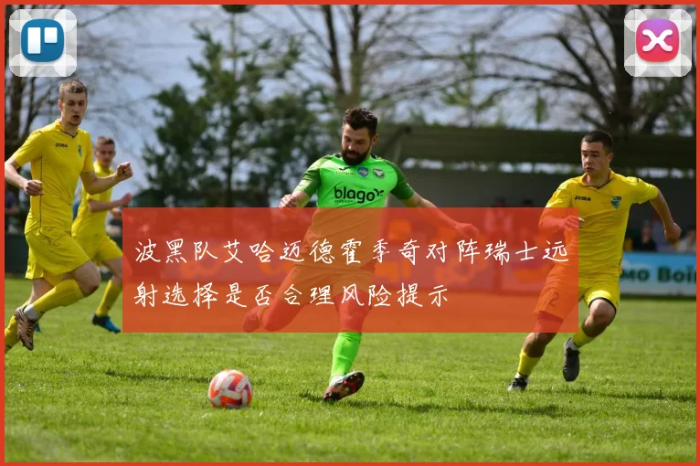 波黑队艾哈迈德霍季奇对阵瑞士远射选择是否合理风险提示