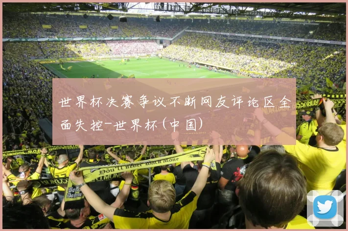世界杯决赛争议不断网友评论区全面失控-世界杯(中国)