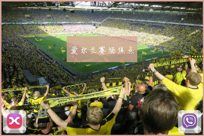 爱尔兰赛场焦点