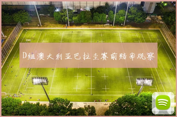 D组澳大利亚巴拉圭赛前赔率观察