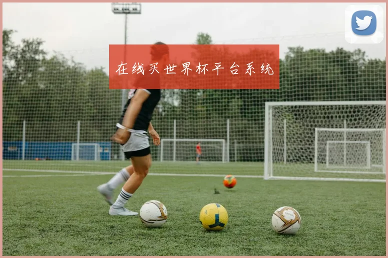 在线买世界杯平台系统