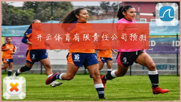 开云体育有限责任公司预测