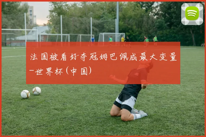 法国被看好夺冠姆巴佩成最大变量-世界杯(中国)