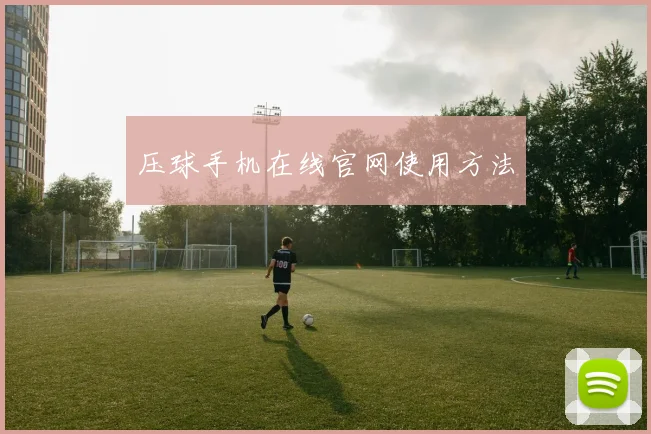 压球手机在线官网使用方法