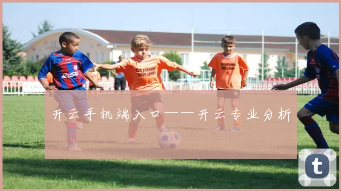 开云手机端入口——开云专业分析