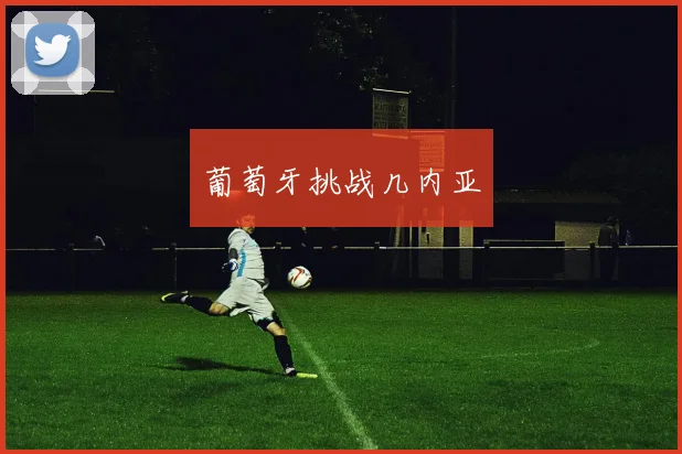 葡萄牙挑战几内亚
