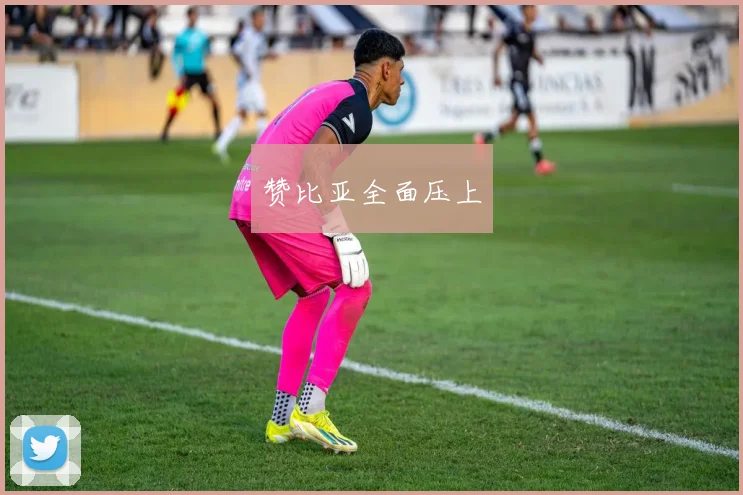 赞比亚全面压上