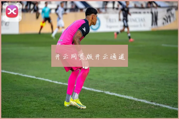 开云网页版开云通道