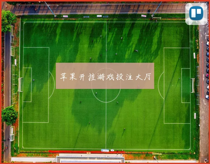 苹果开挂游戏投注大厅