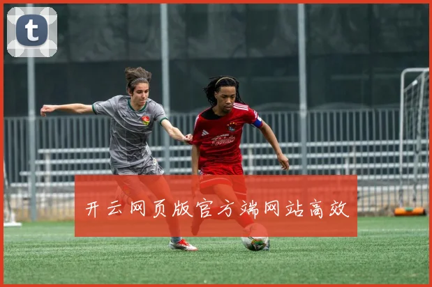 开云网页版官方端网站高效
