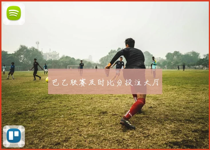 巴乙联赛及时比分投注大厅