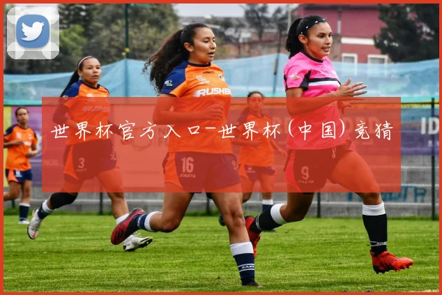 世界杯官方入口-世界杯(中国)竞猜