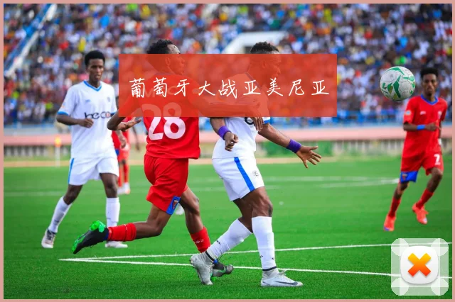 葡萄牙大战亚美尼亚