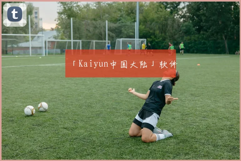 「Kaiyun中国大陆」软件
