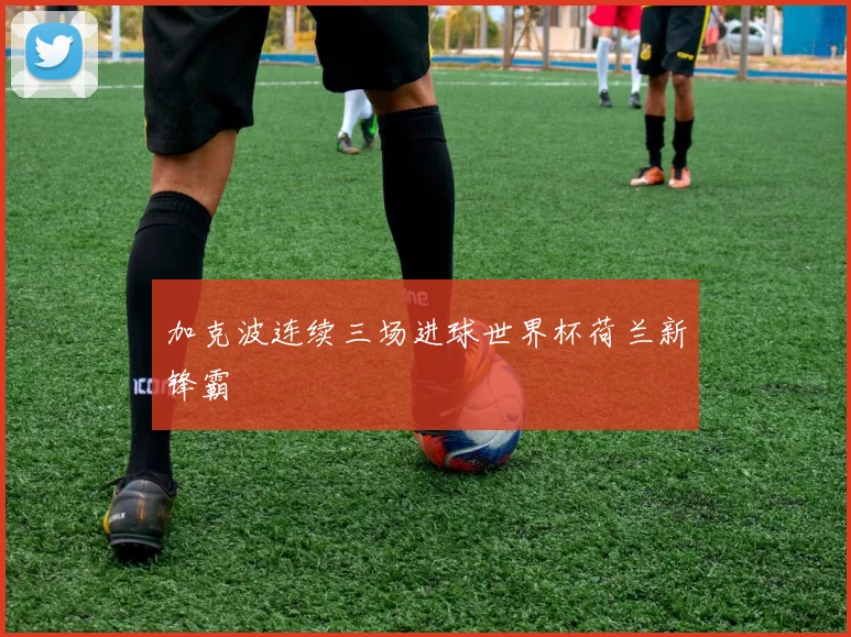 加克波连续三场进球世界杯荷兰新锋霸
