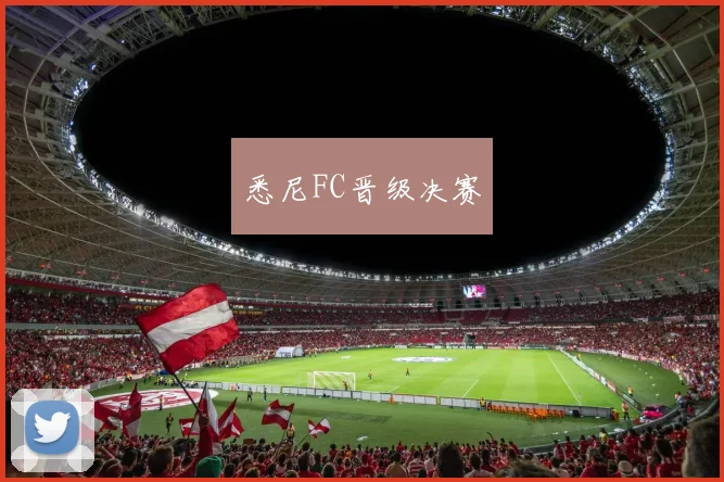 悉尼FC晋级决赛