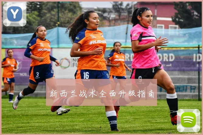 新西兰战术全面升级指南