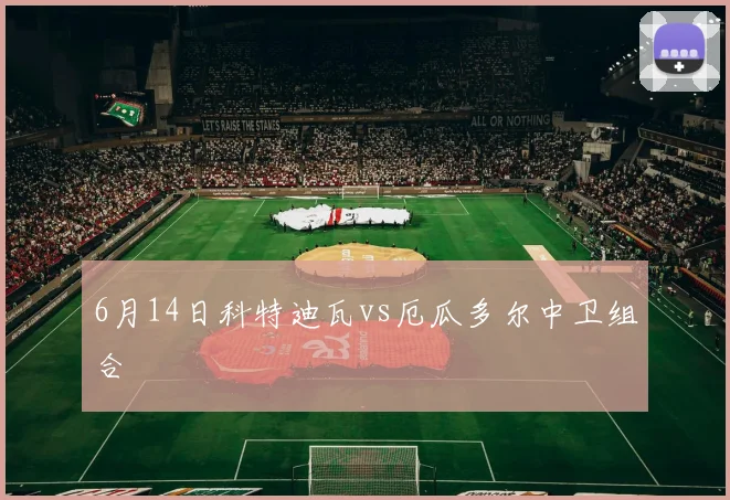 6月14日科特迪瓦vs厄瓜多尔中卫组合