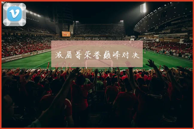 浓眉哥荣誉巅峰对决