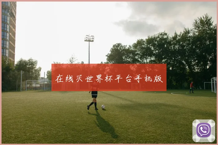 在线买世界杯平台手机版