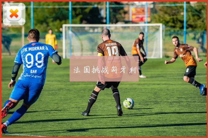 法国挑战匈牙利