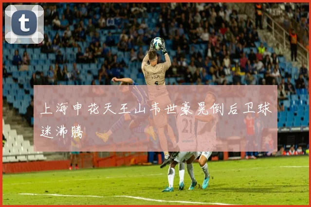 上海申花天王山韦世豪晃倒后卫球迷沸腾