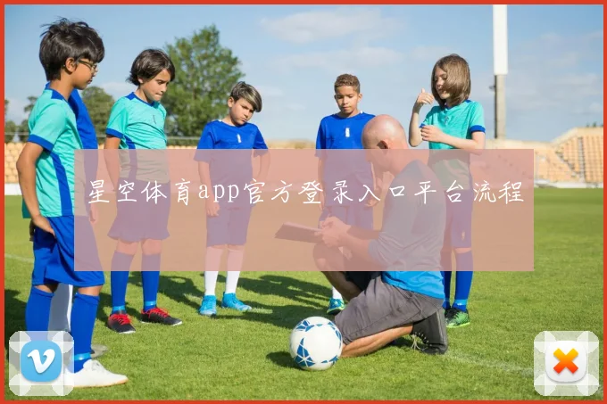 星空体育app官方登录入口平台流程