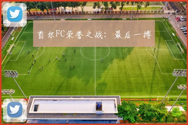 首尔FC荣誉之战：最后一搏