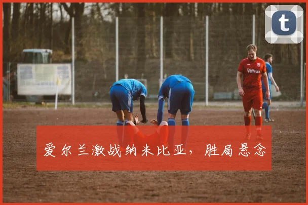 爱尔兰激战纳米比亚，胜局悬念