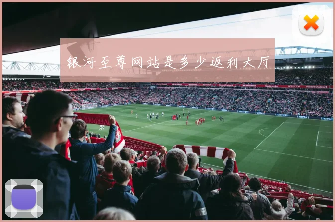 银河至尊网站是多少返利大厅