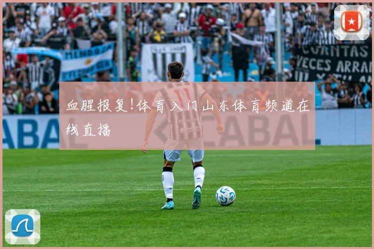 血腥报复!体育入门山东体育频道在线直播