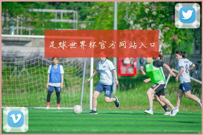 足球世界杯官方网站入口