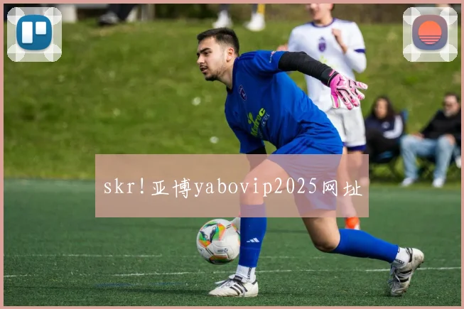skr!亚博yabovip2025网址