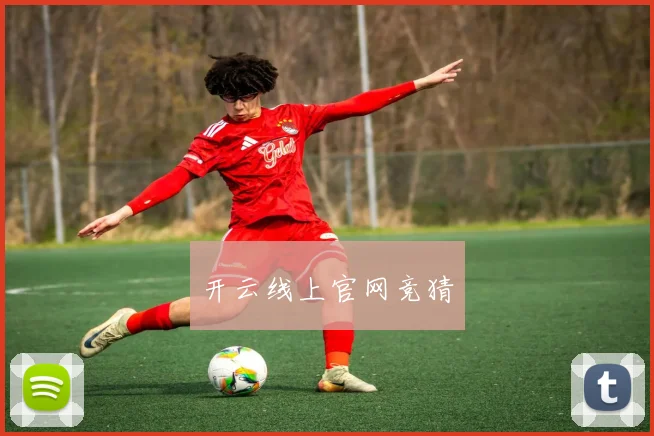 开云线上官网竞猜