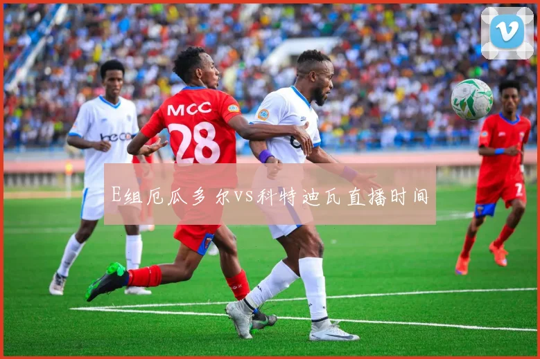 E组厄瓜多尔vs科特迪瓦直播时间